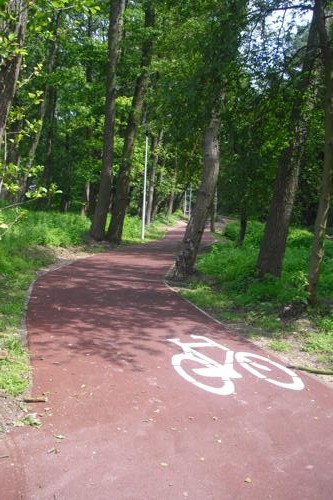 Radweg durch Ostsee-Strandlandschaft