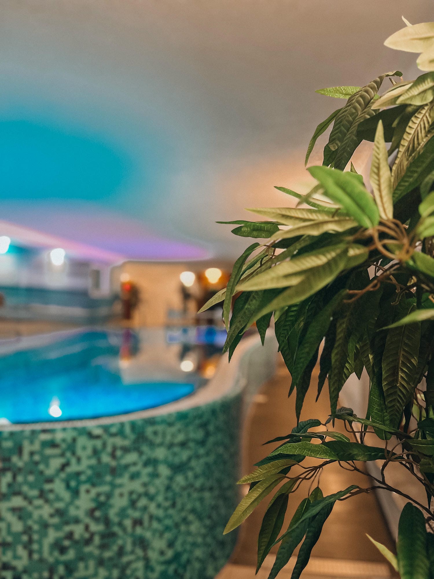 Zielone liście rośliny na pierwszym planie, w tle rozmyty basen i kolorowe światła spa